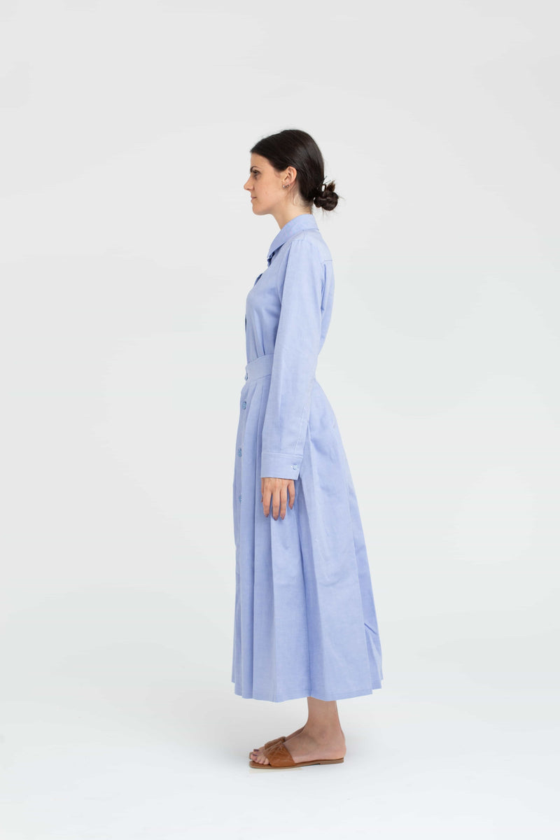 Scilla Celeste