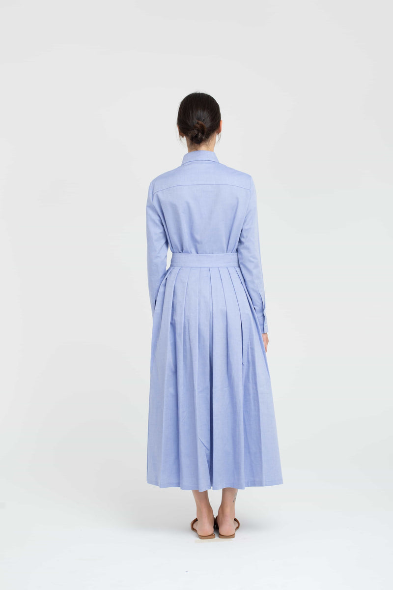 Scilla Celeste